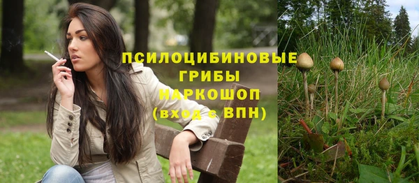 гидропоника Покачи